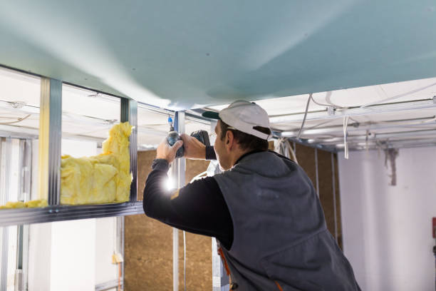 Best Specialized Insulation Services in Jensen Beach, FL