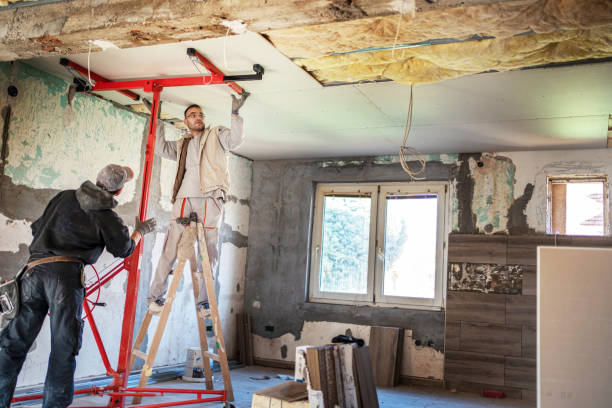 Best Cellulose Insulation in Jensen Beach, FL